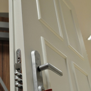 ADLO - Sicherheitst�r ARDEN, Beleistung LB380, Eingangst�r Thermo