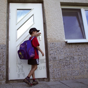 ADLO - Sicherheitst�r TEDUO, Glassausf�hrung P453, Oberfl�che Sprela