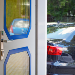 ADLO - Thermo-Sicherheitst�r Teduo, verglast PS221, Oberfl�che der Leisten Color RAL2010