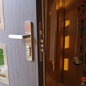 ADLO - Thermo-Sicherheitst�r LISBEO, verglast P554, T�roberfl�che G-781, Edelstahlleisten