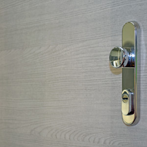 ADLO - Sicherheitst�r LISBEO, T�roberfl�che DL 65 SMA, waagerechtes Muster