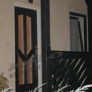 ADLO - Sicherheitst�r ADUO, Oberfl�che Sprela, Glasausf�hrung P401, AQUA