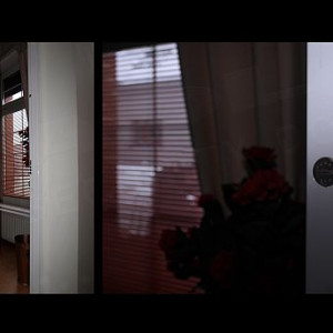 ADLO - Sicherheitst�r ARDEN, Profilausf�hrung Color F156, ins Interieur, L�rmschutz