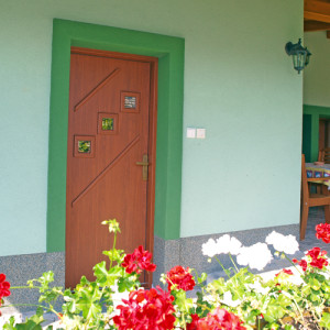 ADLO - Thermo-Sicherheitst�r KASIM, Thermo-Dreifachglas P522, Glas Stopsol - bronze, Folienbeklebung der T�rzarge