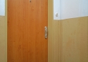 ADLO - Sicherheitstür TEDUO, glattes Design, Türoberfläche Ahorn Adria, Wohnungseinganstür