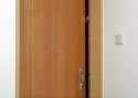 ADLO - Sicherheitstür ADUO, glattes Design, Sicherheitshebel, Wohnungseinganstür