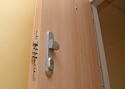 ADLO - Sicherheitstür TEDUO, Wohnungseingangstür, Türoberfläche Akazie H1277
