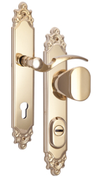 Schutzbeschlag Rostex R1, Dekorativ  fr rechte Tr, Titan glnzend, Drcker - Ovalgriff