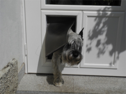 Durchgang fr Hunde und Katzen